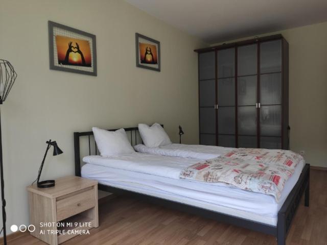 Luxapartament 3 - Z Duzym Tarasem I Garazem W Zeta Park Ustron Kültér fotó